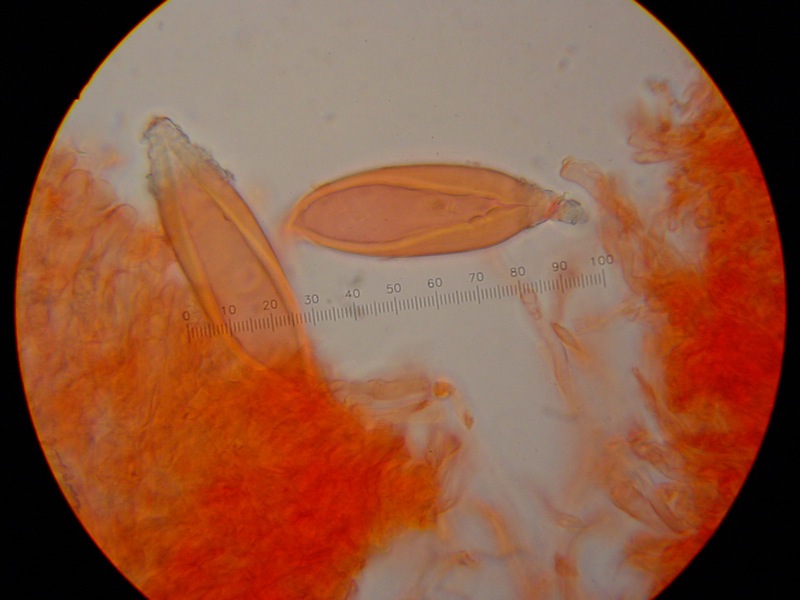 Da solo non ci riesco